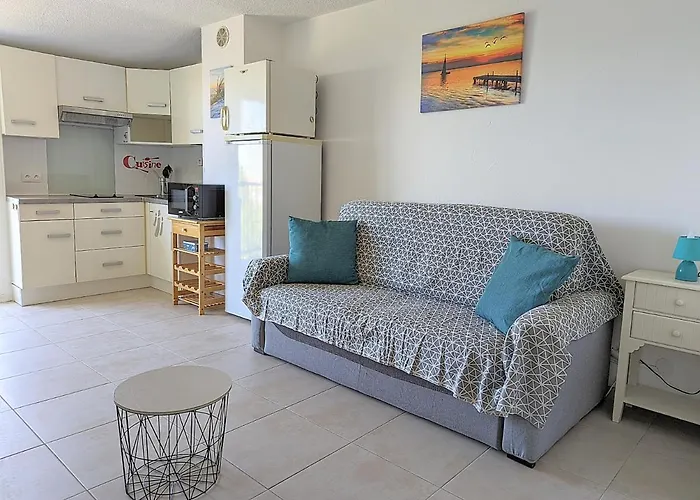 Proche Port Et Avec Wifi Et Climatisation Agde